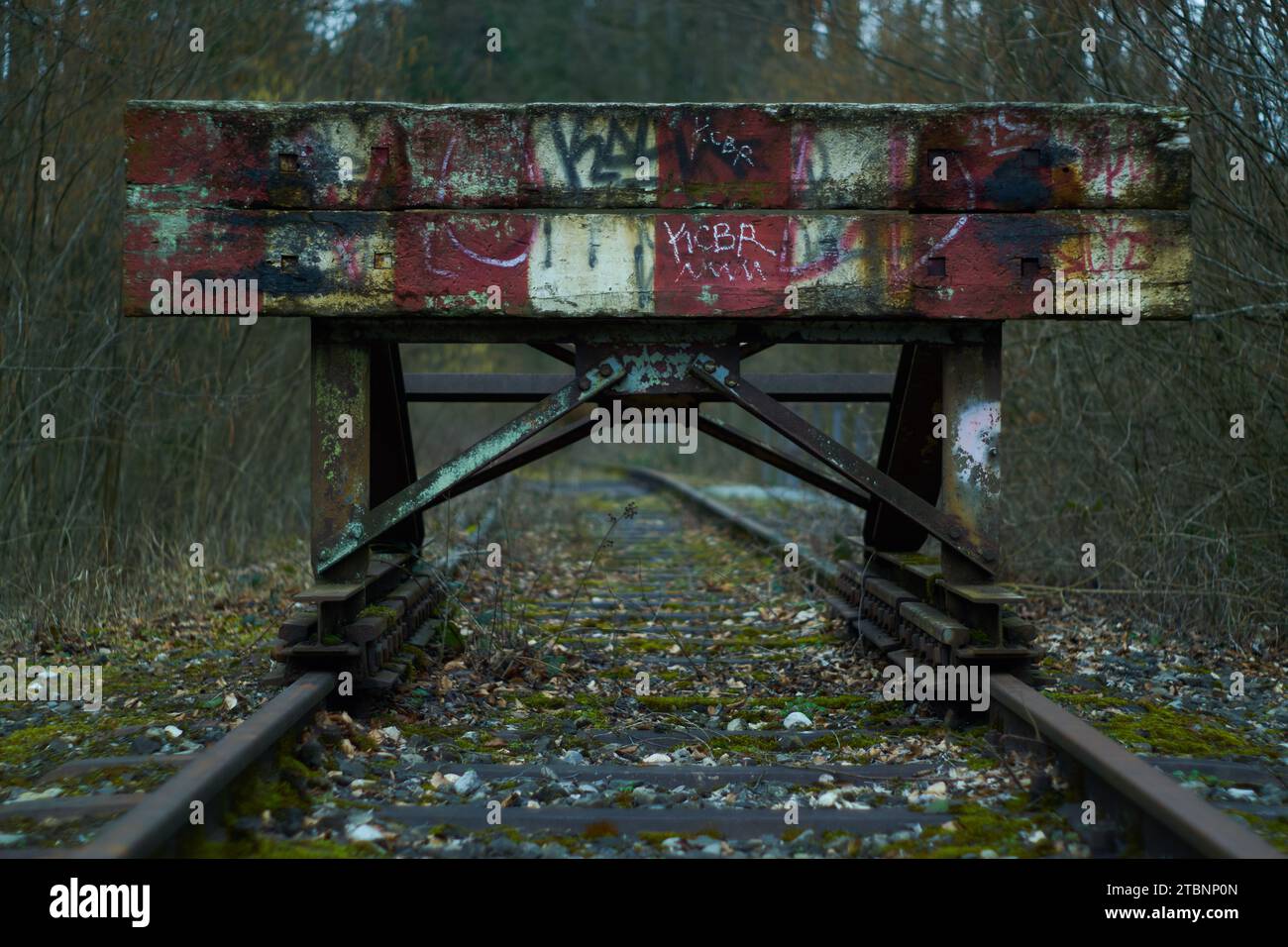 Vergessene Gleise, Eine verwitterte Eisenbahn, die von Vegetation bewachsen ist und von Zeit und Graffiti geprägt ist Stockfoto