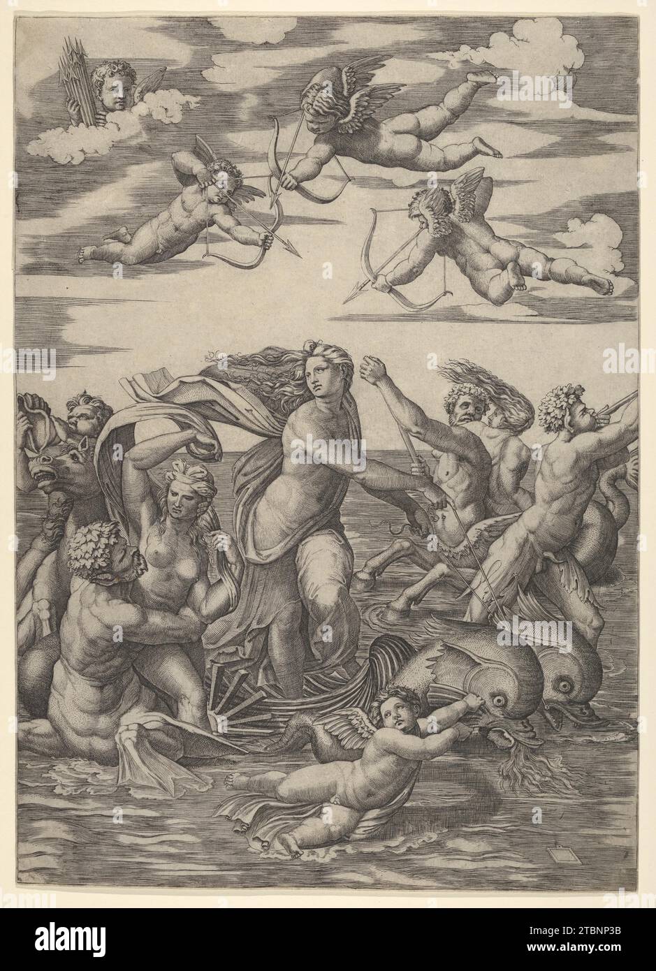 Galatea steht in einem Wasserwagen, der von zwei Delfinen gezogen wird