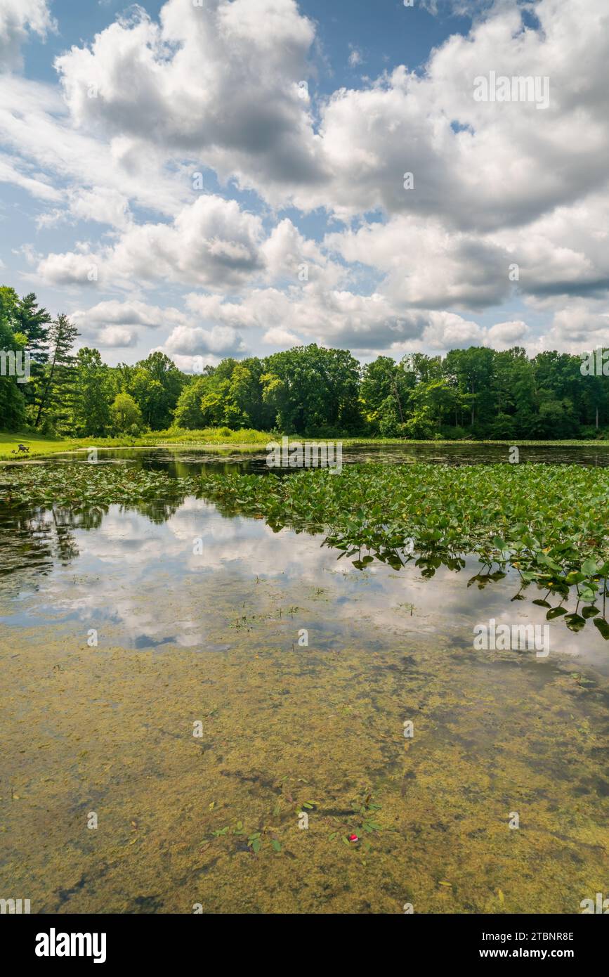 Die Wetlands, Cuyahoga Valley National Park in Ohio Stockfoto