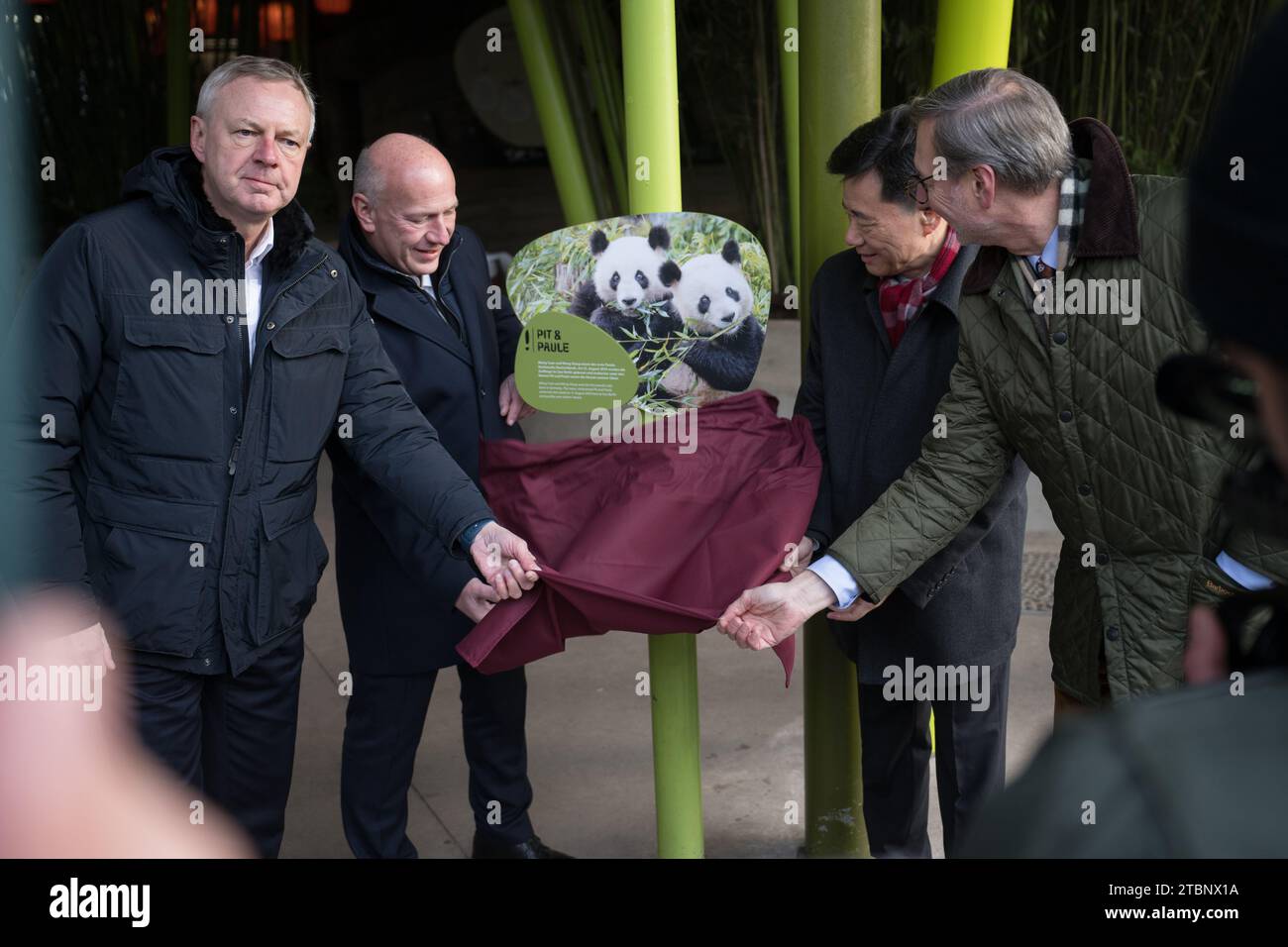 Berlin, Deutschland. Dezember 2023. Frank Bruckmann (l-r), Vorsitzender des Aufsichtsrats des Berliner Zoos, Kai Wegner (CDU), Regierender Bürgermeister von Berlin, Wu Ken, Botschafter der Volksrepublik China in Deutschland, und Andreas Knieriem, Zoo- und Tierpark-Direktor Berlin, enthüllt während einer Abschiedszeremonie für die Pandabären Grube und Paule im Zoo Berlin ein Gedenkzeichen. Mitte Dezember ziehen die vier Jahre alten Panda-Zwillinge Pit und Paule aus dem Berliner Zoo nach China. Quelle: Sebastian Gollnow/dpa/Alamy Live News Stockfoto