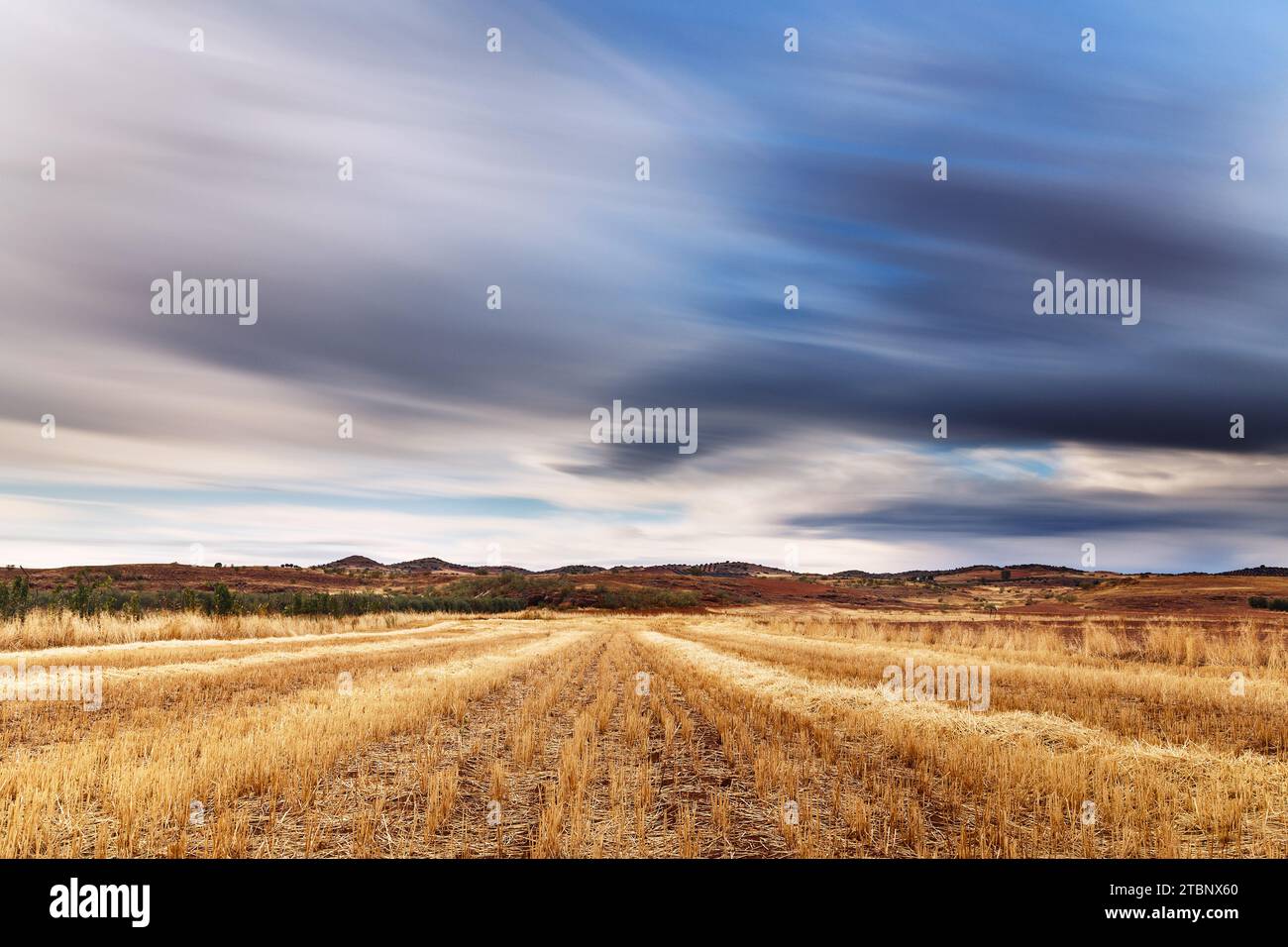 Weizenfelder im Herbst um die Alhambra Stockfoto