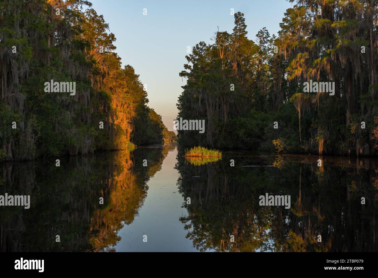 Okefenokee Swamp, in der Nähe von Folkston, Georgia Stockfoto
