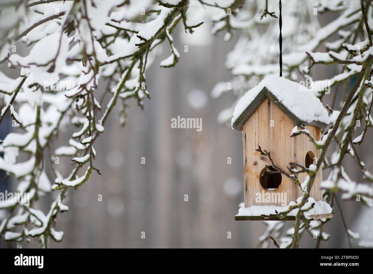 Schneebedeckte Vogelfutteranlage im Wintergarten. Nahaufnahme Stockfoto