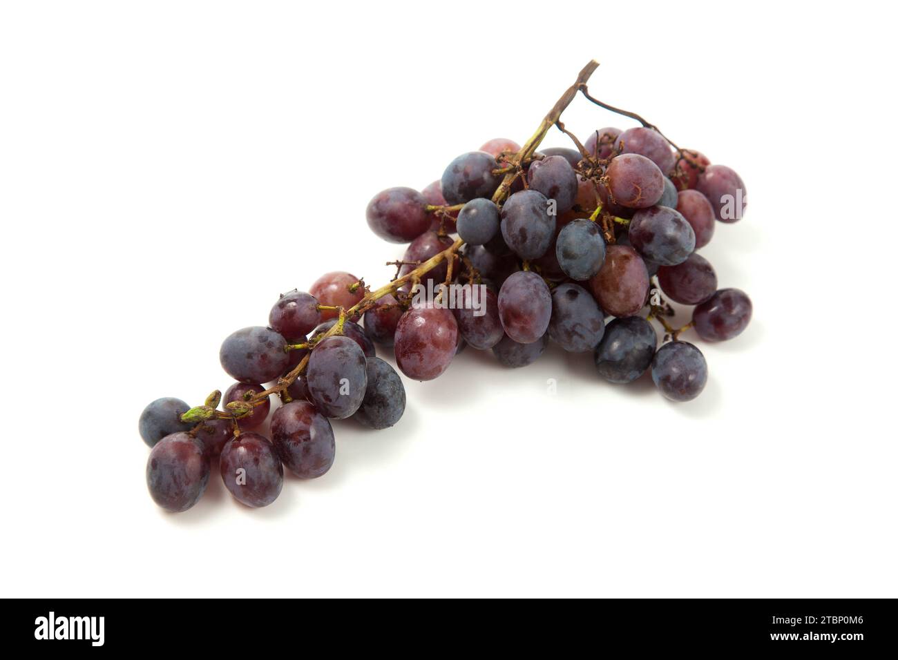 Großer Haufen reifer dunkelblauer Trauben isoliert auf weißem Hintergrund. Lila Weintrauben mit weichem Schatten isoliert auf weiß. Stockfoto