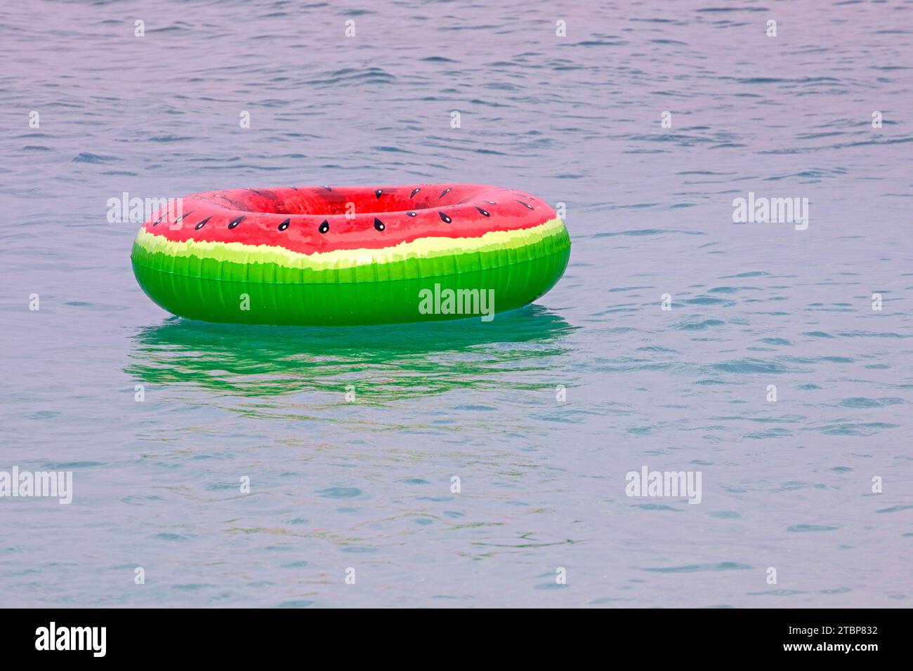 Schwimmring mit Wassermelonenmuster auf der Wasseroberfläche im Meer. Familienurlaub und Urlaub im Meer Stockfoto