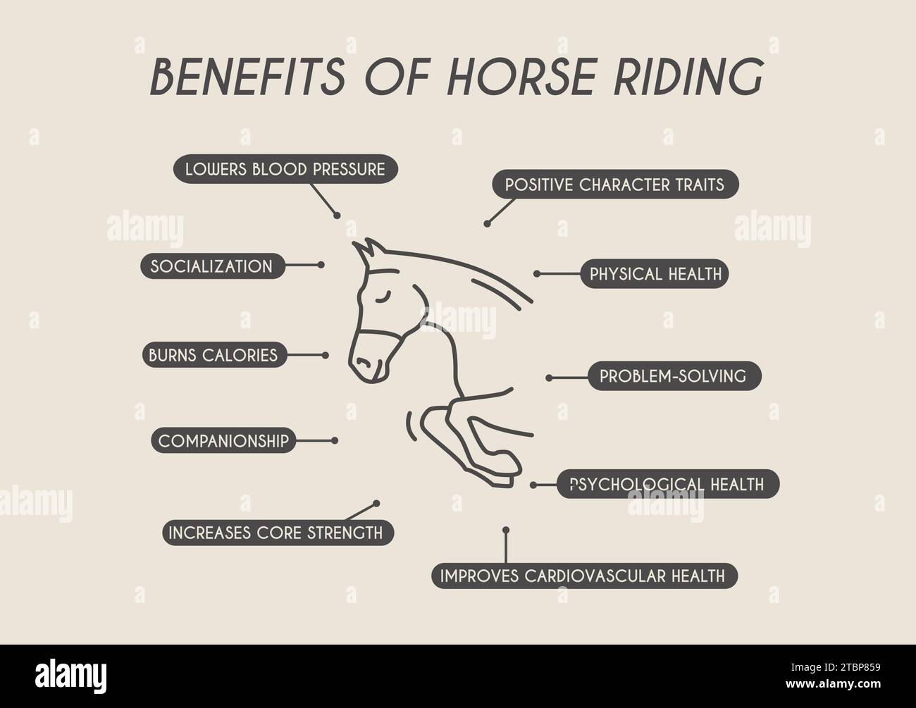 Vorteile des Reitens. Infografik zum Reitsport mit Symbolen und lehrreichen Informationen. Körperliche und psychische Gesundheit für Reiter Stock Vektor