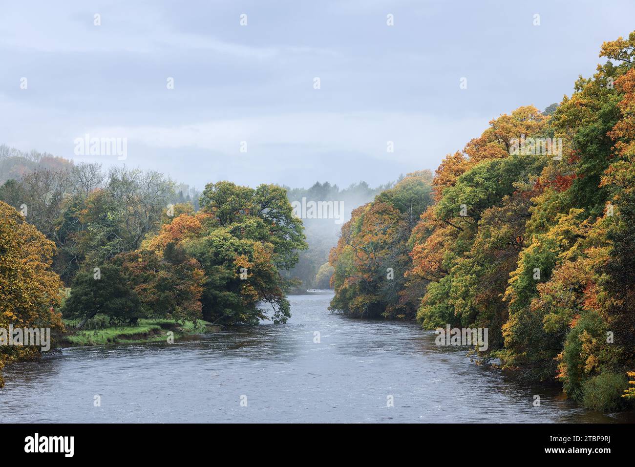 Das baumgesäumte Ufer des Flusses Tees am Rande von Barnard Castle an einem nebeligen Herbsttag, Barnard Castle, County Durham, Großbritannien Stockfoto