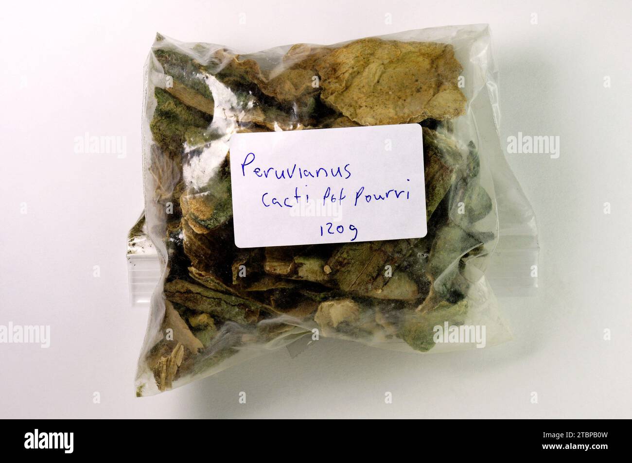 Echinopsis peruviana 'Peruvian Fackel' [Syn. Trichocereus peruvianus ] - Peruvianus Pot Pourri 120g - Getrocknete Kaktuschips. Stockfoto