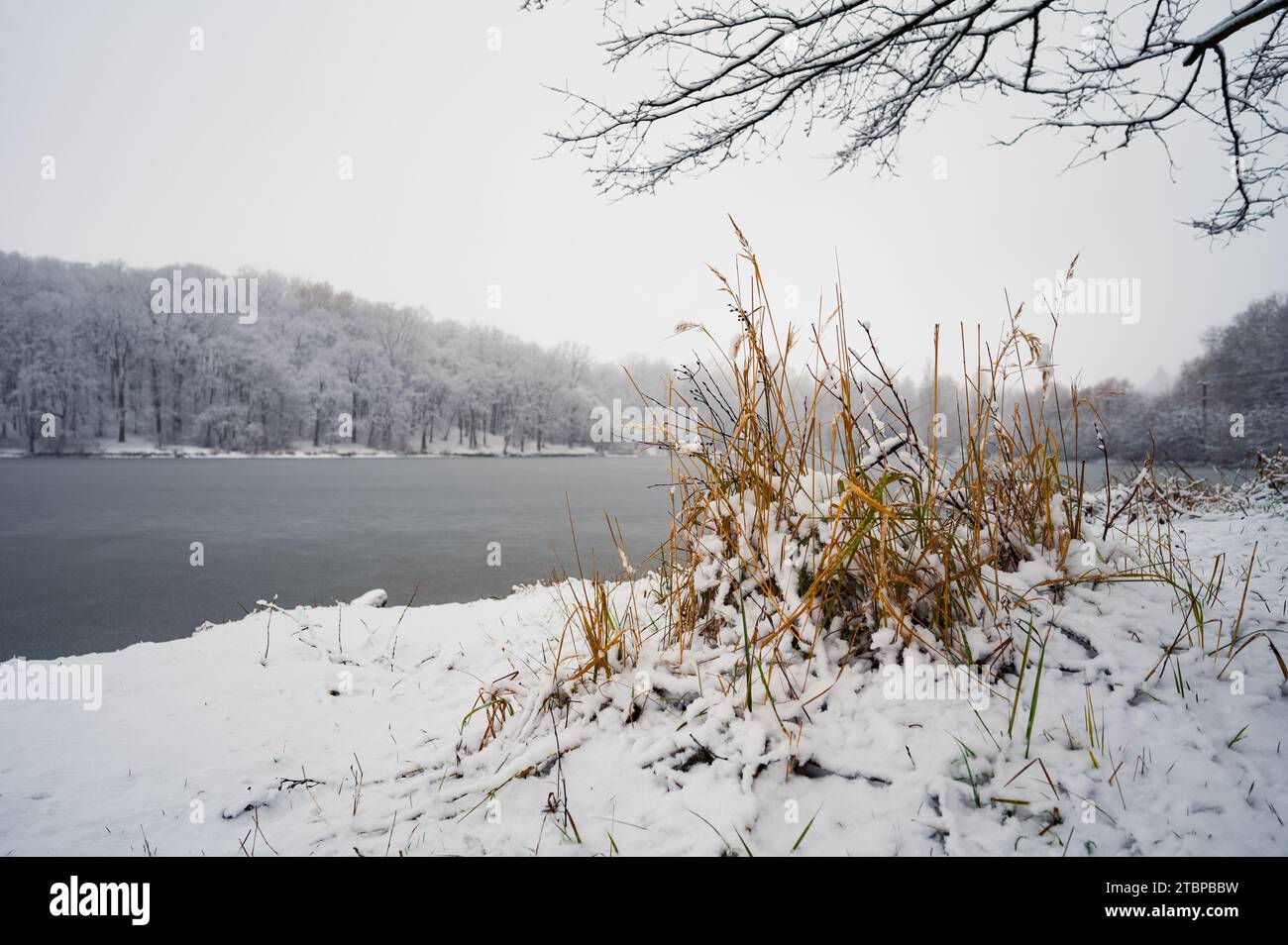 Gelbes und grünes Gras ragt aus Schnee auf dem Ufer eines gefrorenen ...