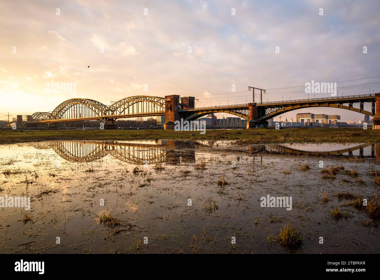 Die Suedbrücke, Eisenbahnbrücke über den Rhein, spiegelt sich im Hochwasser, im Hintergrund die Kranhäuser im Rheinauer Hafen, Köln, GE Stockfoto