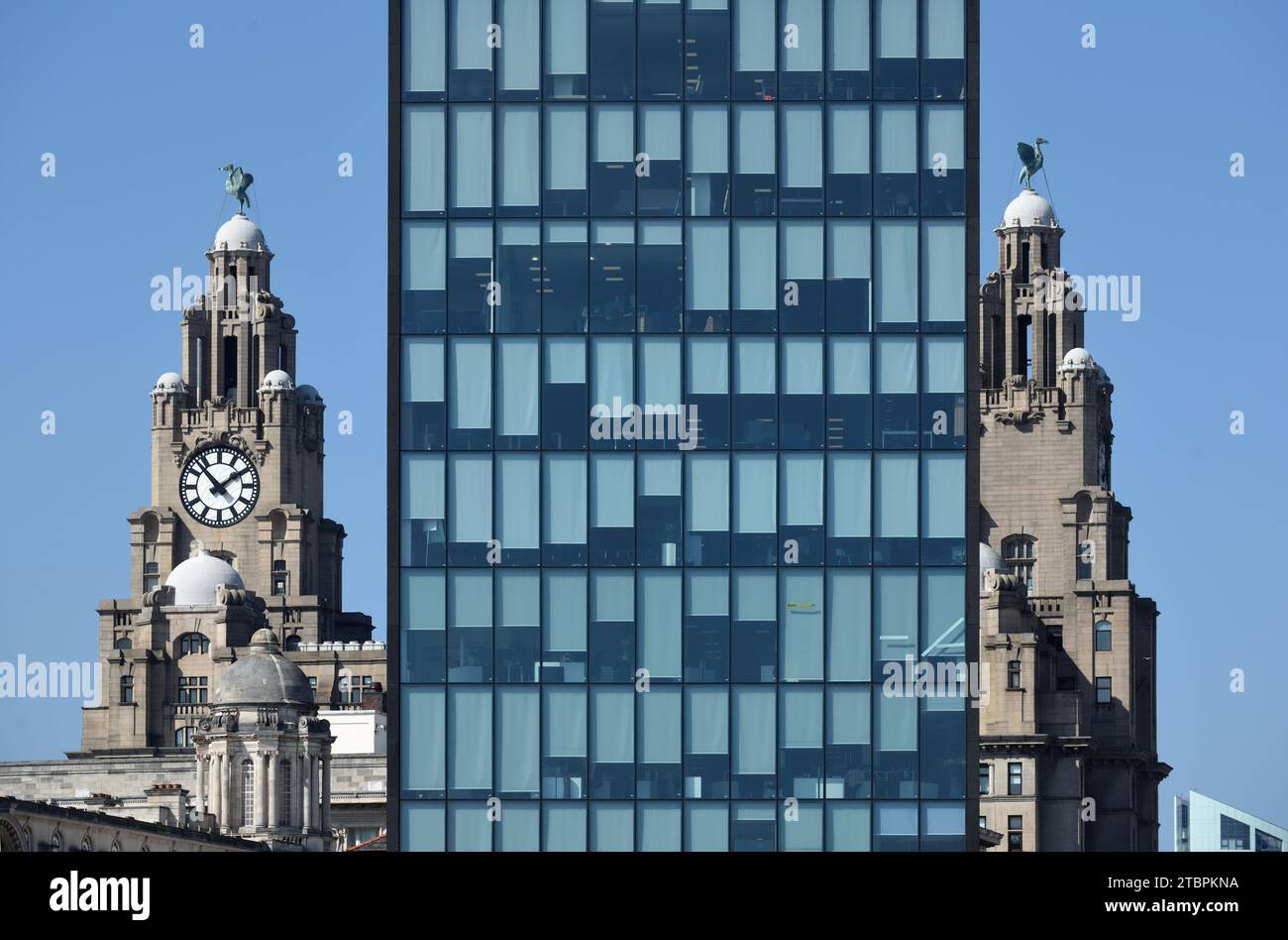 Corner Towers of Royal Liver Building (1908-11) & Modern Office Block Architecture, Mann Island Buildings (2008-11) Pier Head Liverpool England Großbritannien Stockfoto
