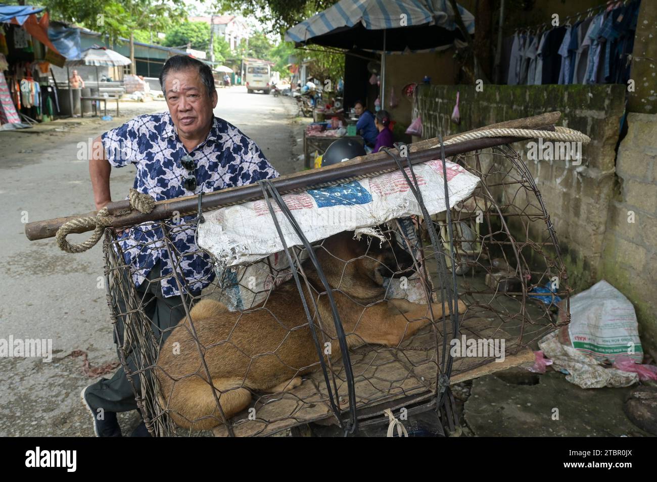 VIETNAM, Provinz Yen Bai, Dorf Cam Nhan, ländlicher Markt, Verkauf eines lebendigen Hundes für Hundefleisch / ländlicher Markt, Verkauf eines lebendigen Hundes für Hundefleisch Stockfoto
