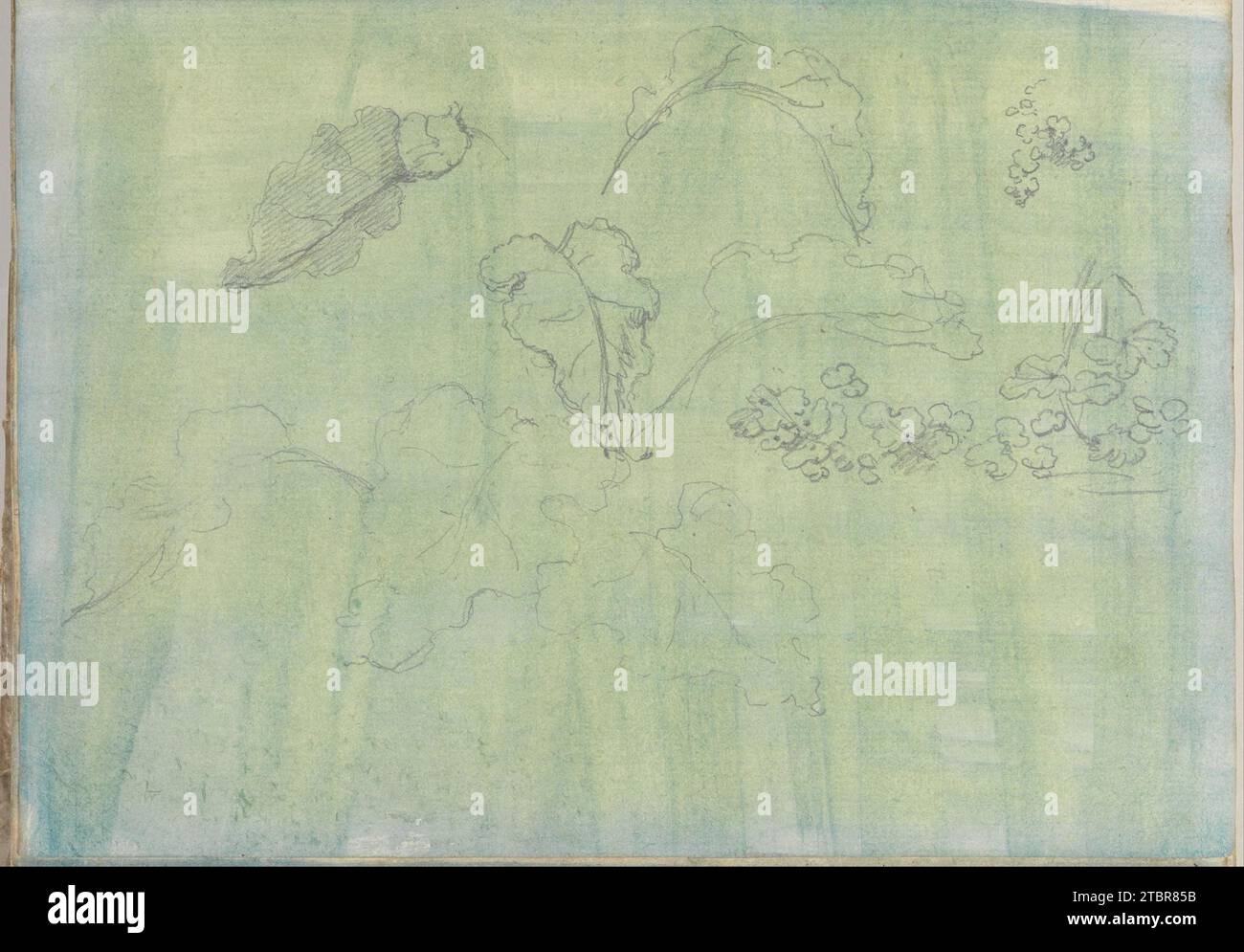 Geschnitzte Paneele und Randverzierung (Recto). Sketches of Leaves (verso) (kleineres italienisches Skizzenbuch, Blatt 21) 1957 von Joseph Wright (Wright of Derby) Stockfoto
