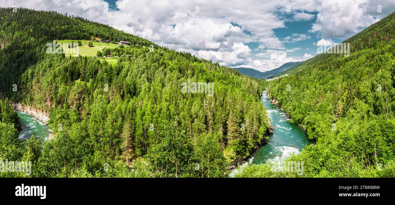 Flusssoja in Norwegen Stockfoto