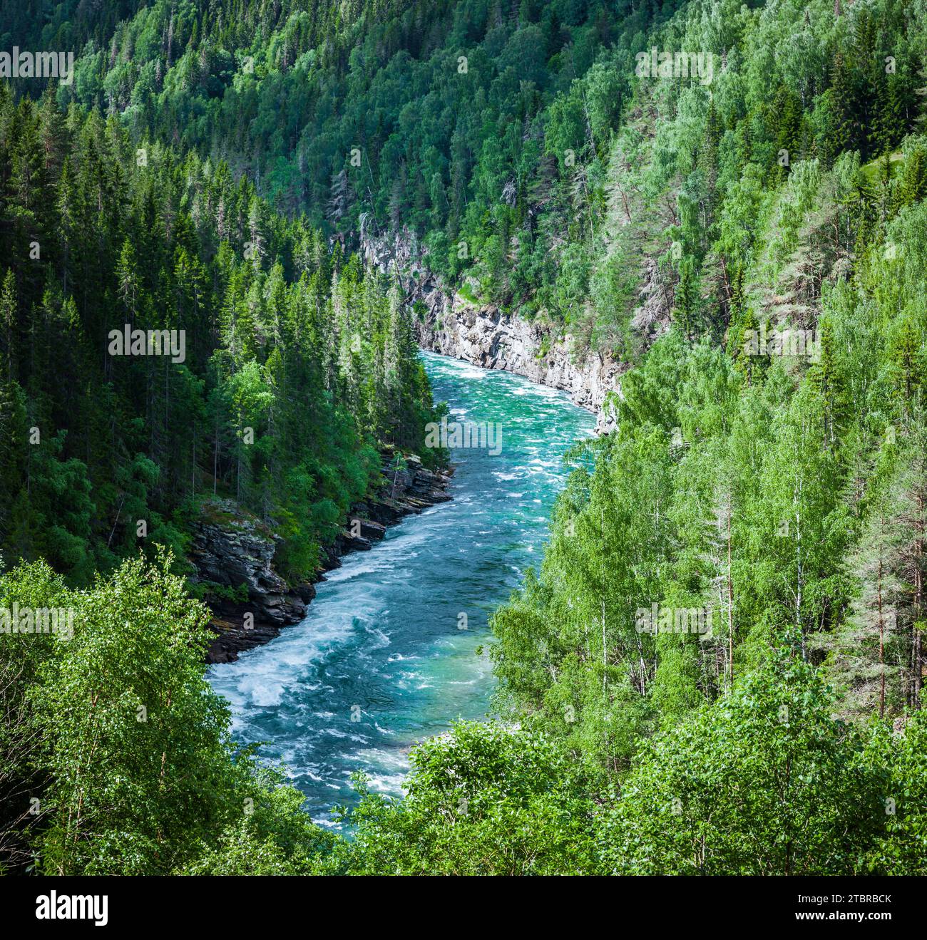 Flusssoja in Norwegen Stockfoto
