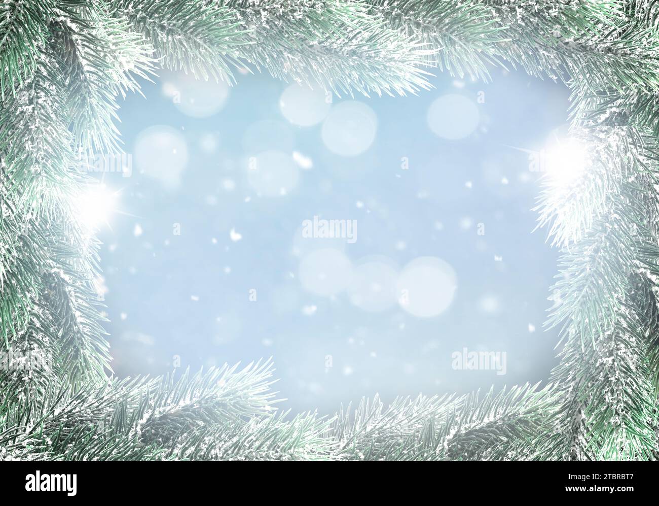 Heller Weihnachtshintergrund mit Tannenzweigen Stockfoto