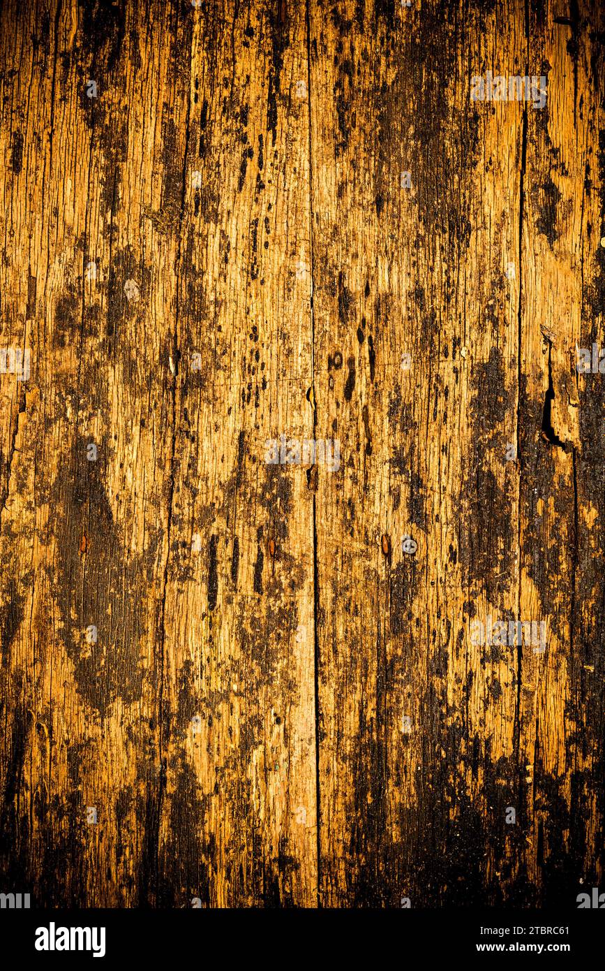 Altes verwittertes Holz als Hintergrund Stockfoto