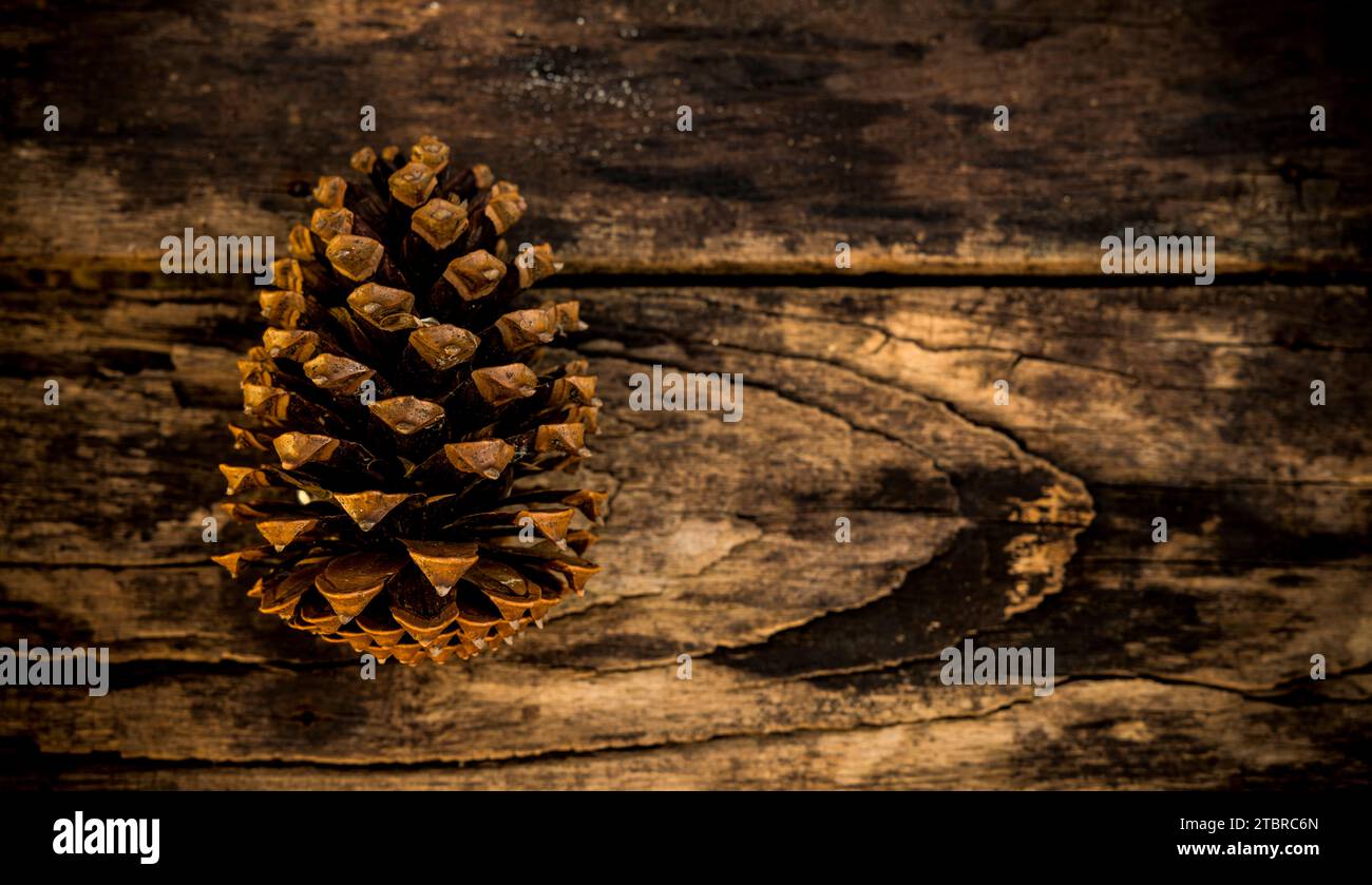 Tannenzapfen auf einem alten Holzbrett Stockfoto