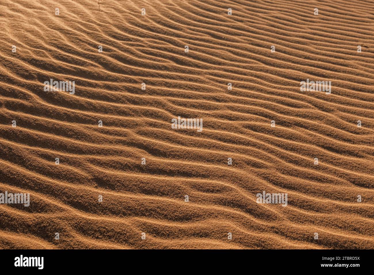 Muster im Sand in der Wüste Wadi Rum in Jordanien, Asien Stockfoto