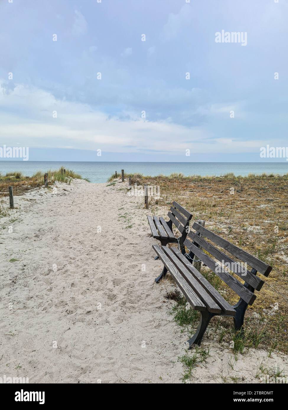 Deutschland, Fischland Darß, Prerow, Ostseeküste, der Weg zum Meer, Holzbank zum Ausruhen Stockfoto