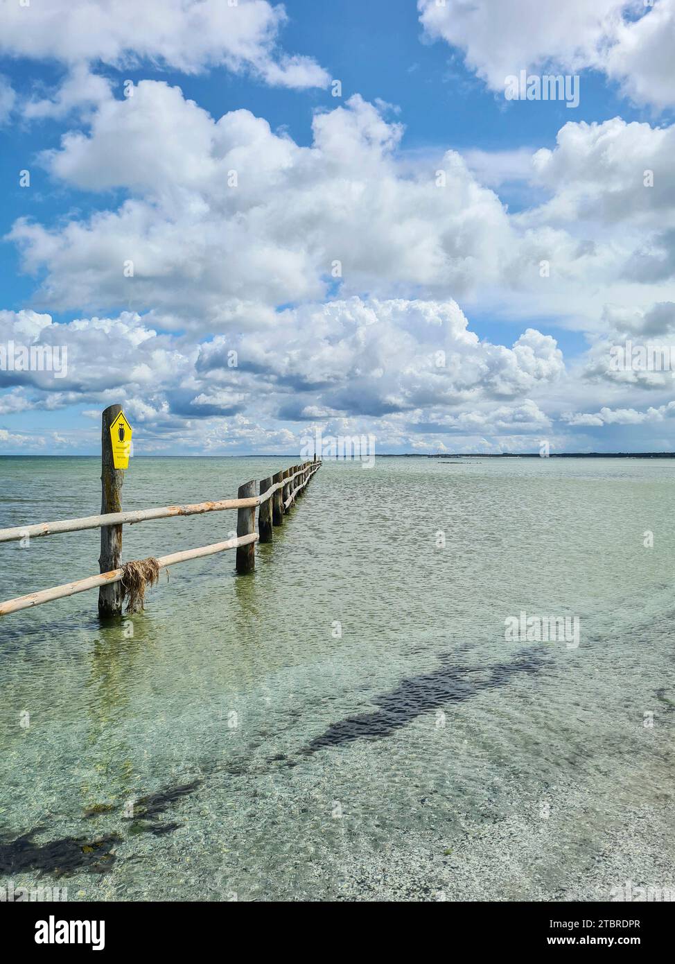 Blick in die endlose Weite mit weißen Wolken am blauen Himmel an einem Sommertag im Nationalpark Vorpommersche Boddenlandschaft, Prerow an der Ostsee, Halbinsel Fischland-Darß-Zingst, Mecklenburg-Vorpommern, Deutschland Stockfoto