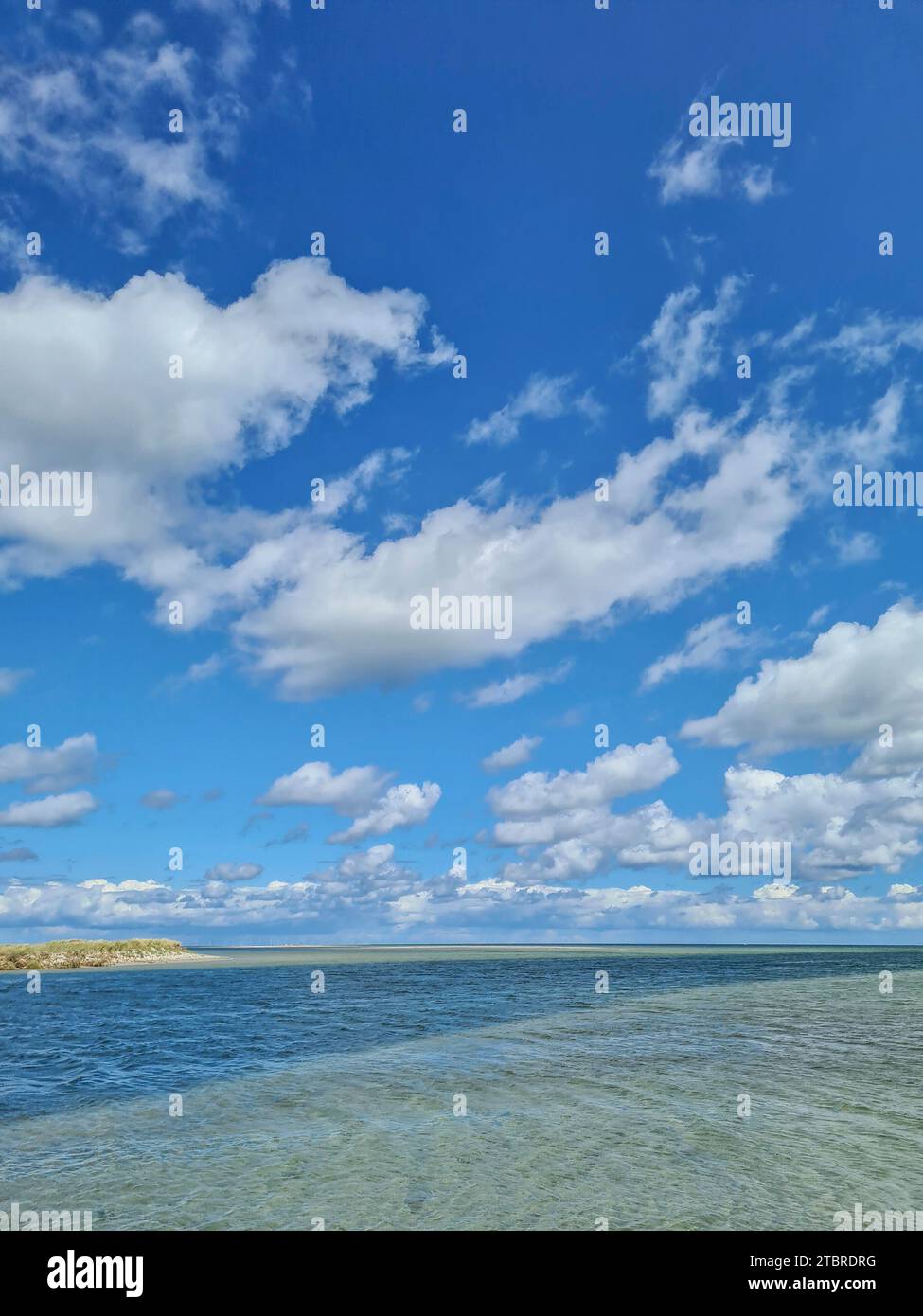 Blick in die endlose Weite mit weißen Wolken am blauen Himmel an einem Sommertag im Nationalpark Vorpommersche Boddenlandschaft, Prerow an der Ostsee, Halbinsel Fischland-Darß-Zingst, Mecklenburg-Vorpommern, Deutschland Stockfoto