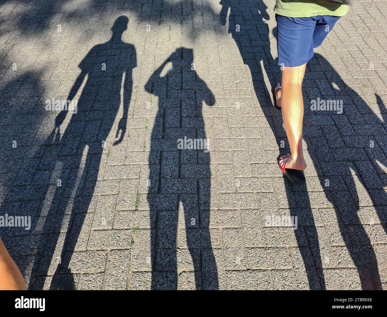 Jugendliche und Jugendliche fotografieren mit Smartphone ihre langen Schatten auf der Straße im Sommerabendlicht, Prerow, Halbinsel Fischland-Darß-Zingst, Mecklenburg-Vorpommern, Deutschland Stockfoto