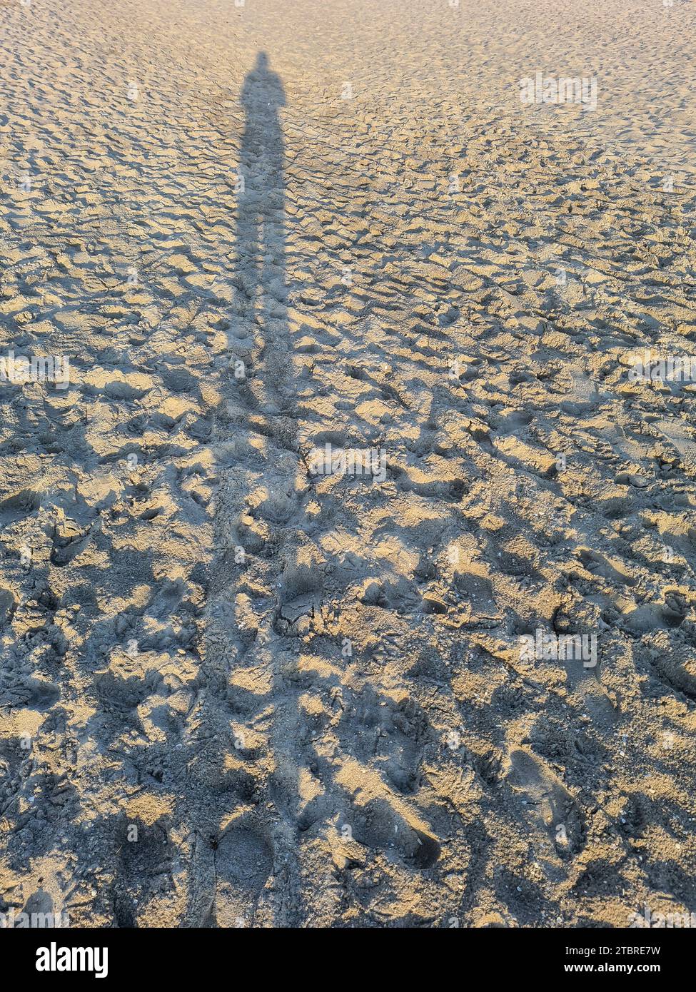 Deutschland, Mecklenburg-Vorpommern, Halbinsel Fischland-Darß-Zingst, Ferienort Prerow, abendliche Atmosphäre am Sandstrand, lange Schattenfigur auf Sand Stockfoto