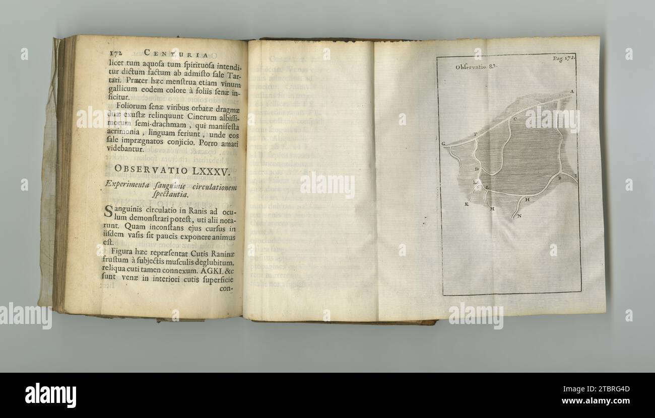 Altes Buch, Kapitel und Studium von Informationen auf Papier in antikem, alteingesessenem oder naturwissenschaftlichem Lehrbuch mit Wissen. Archiv, Abbildung und Diagramm auf Stockfoto