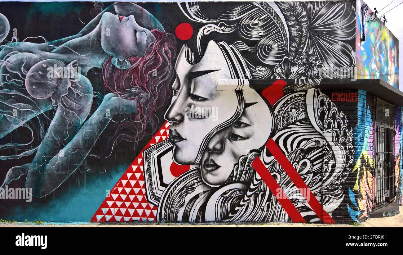 Graffiti-Fassade, Wynwood Art District, Miami, Florida, USA Stockfoto