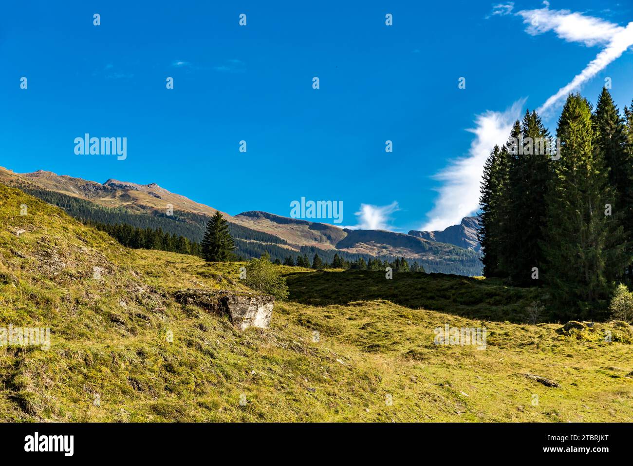 Blick von Buchebenstraße nach Silberpfennig, 2600 m, Bucheben, Goldberggruppe, Rauris, Raurisertal, Pinzgau, Salzburger Land, Österreich Stockfoto