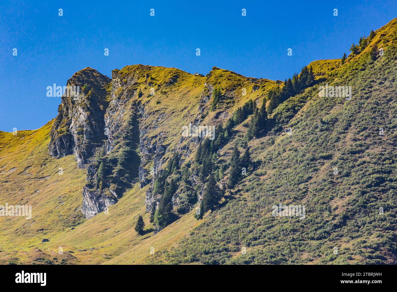 Blick von Fröstlberg zum Schodenkopf, 2093 m, Rauristal, Goldberggruppe, Österreich Stockfoto