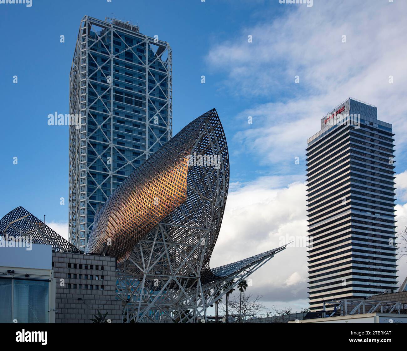 Spanien, Katalonien, Barcelona, Golden Fish, Architekt Frank Gehry Stockfoto