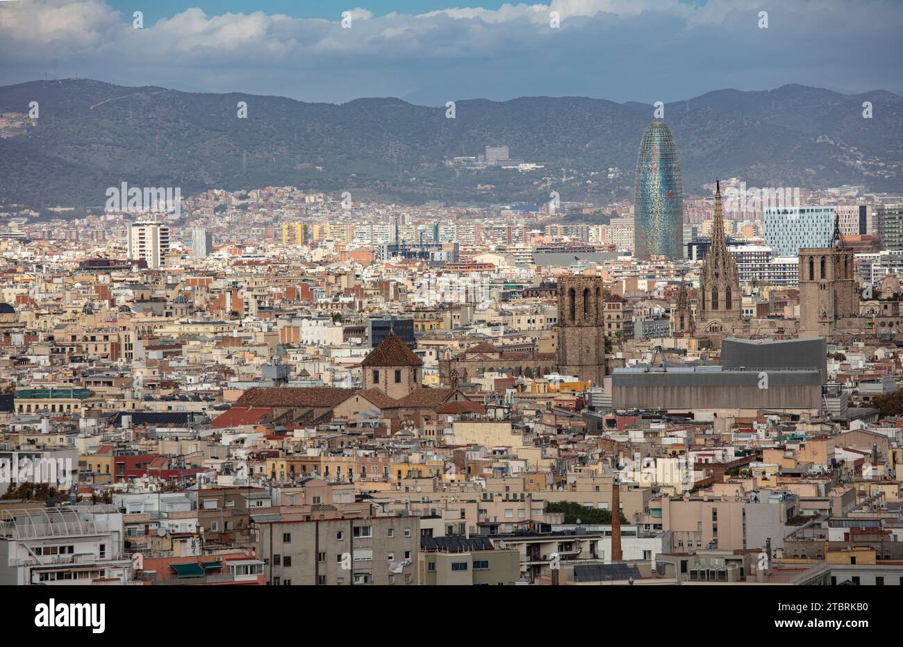 Spanien, Katalonien, Barcelona, Panorama, Altstadt Stockfoto