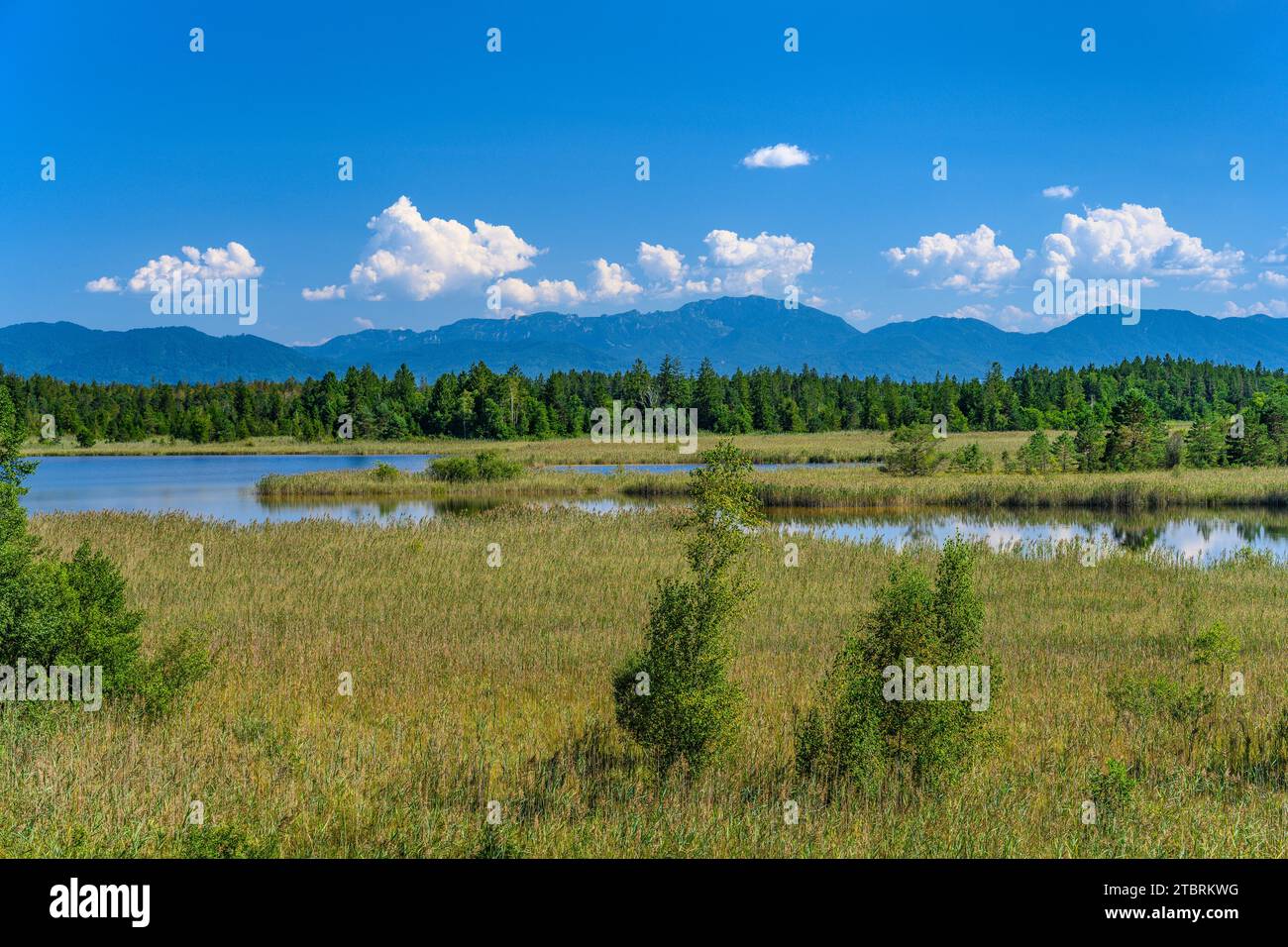 Deutschland, Bayern, Pfaffenwinkel, Seeshaupt, Gartensee gegen die Voralpen mit Benediktenwand Stockfoto