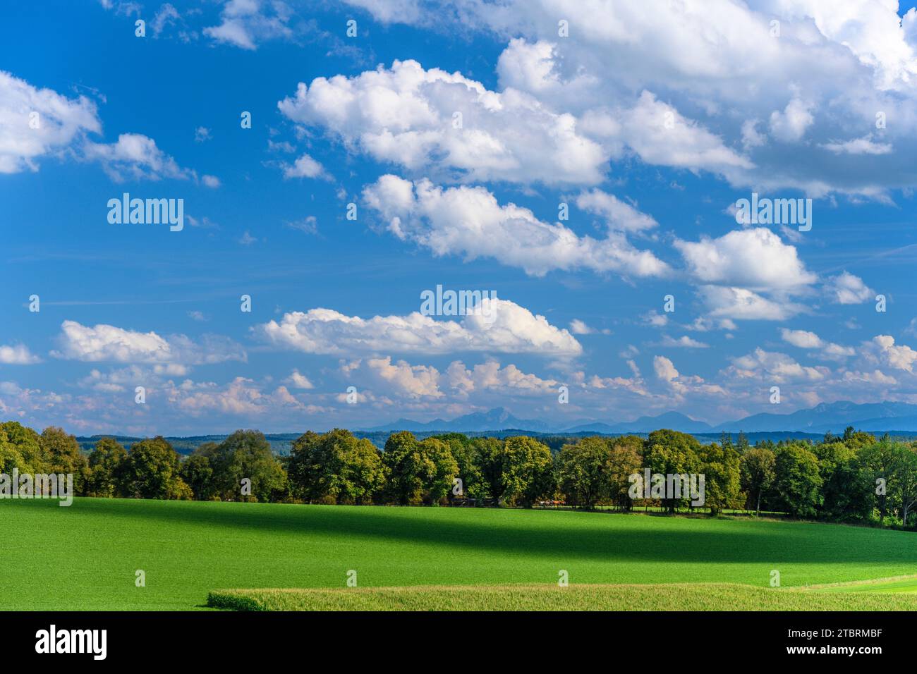 Deutschland, Bayern, Tölzer Land, Icking, Kulturlandschaft vor dem Mangfallgebirge Stockfoto