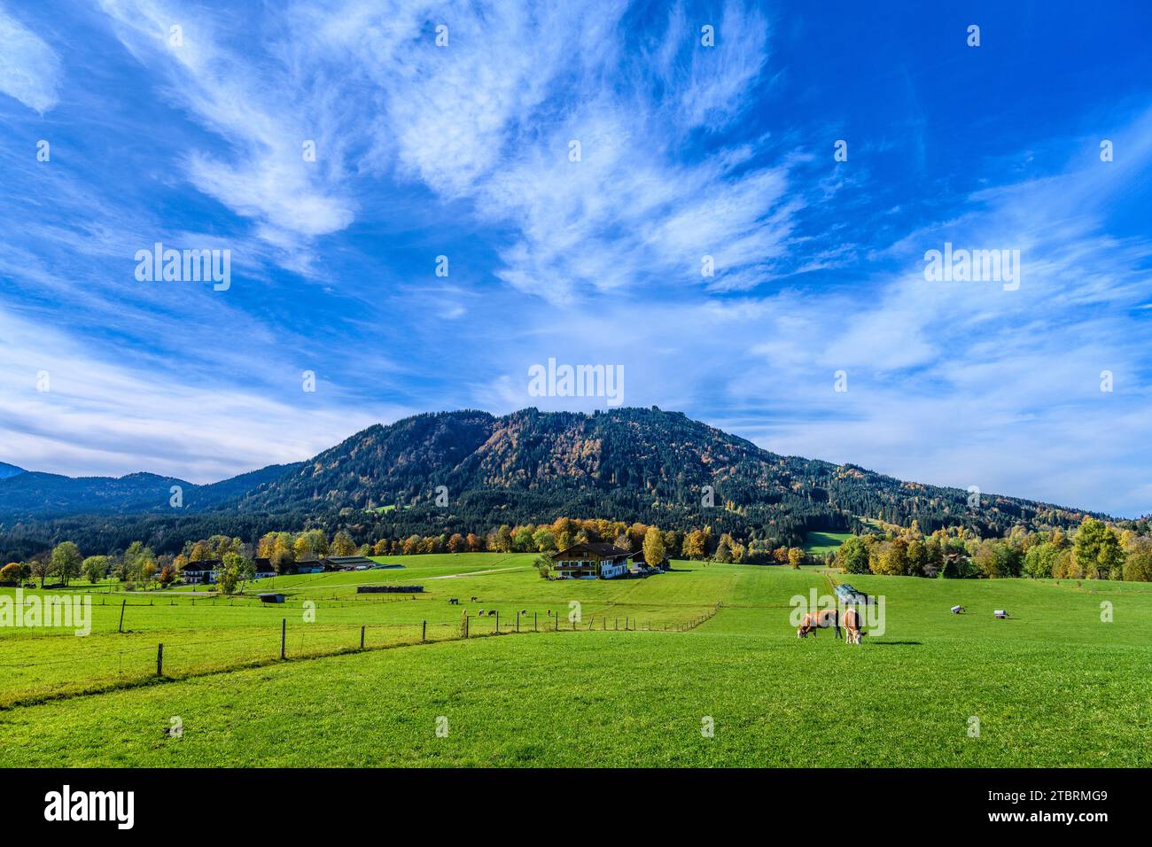 Deutschland, Bayern, Tölzer Land, Isarwinkel, Wackersberg, Herbstlandschaft Richtung Heiglkopf und Blomberg Stockfoto