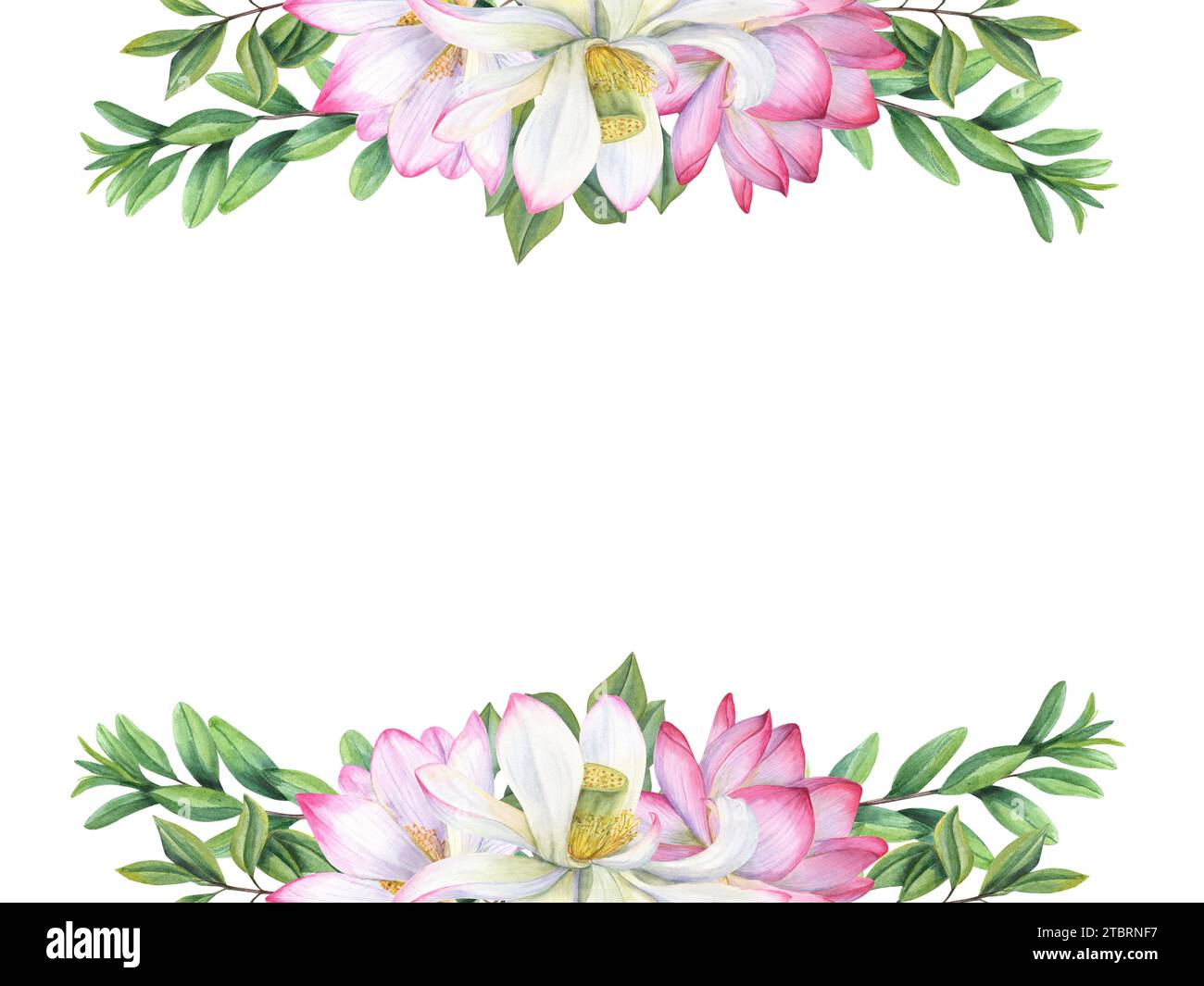 Blumengestell mit schönen blühenden Lotusblumen und grünen Zweigen. Seerosen, Teebauchblätter. Abstraktes Laub, heilige Lotusblüte. Stockfoto