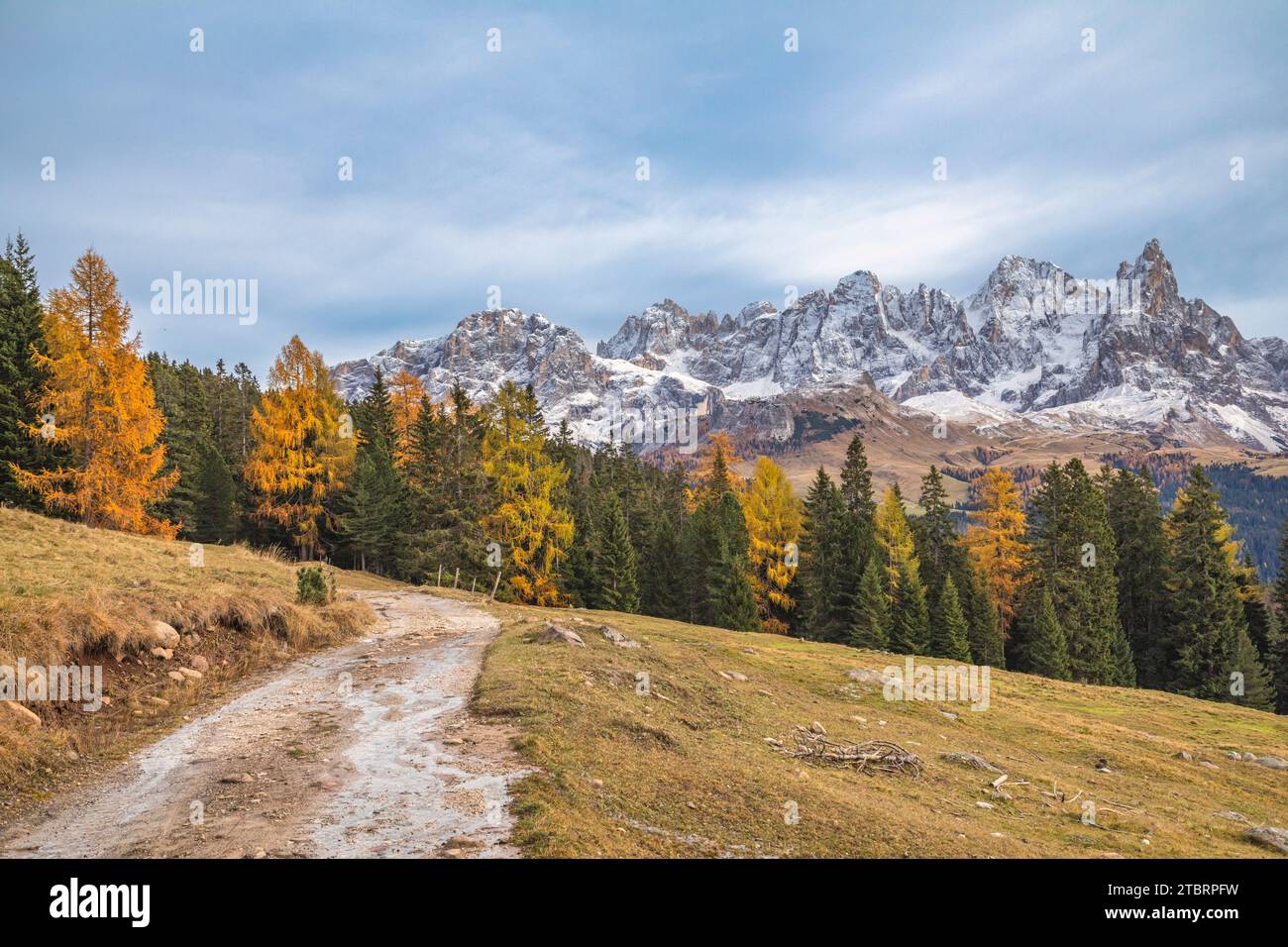 Italien, Trentino, Pale di San Martino, die Nordseite im Herbst mit wenig Schnee auf den Gipfeln, Dolomiten Stockfoto