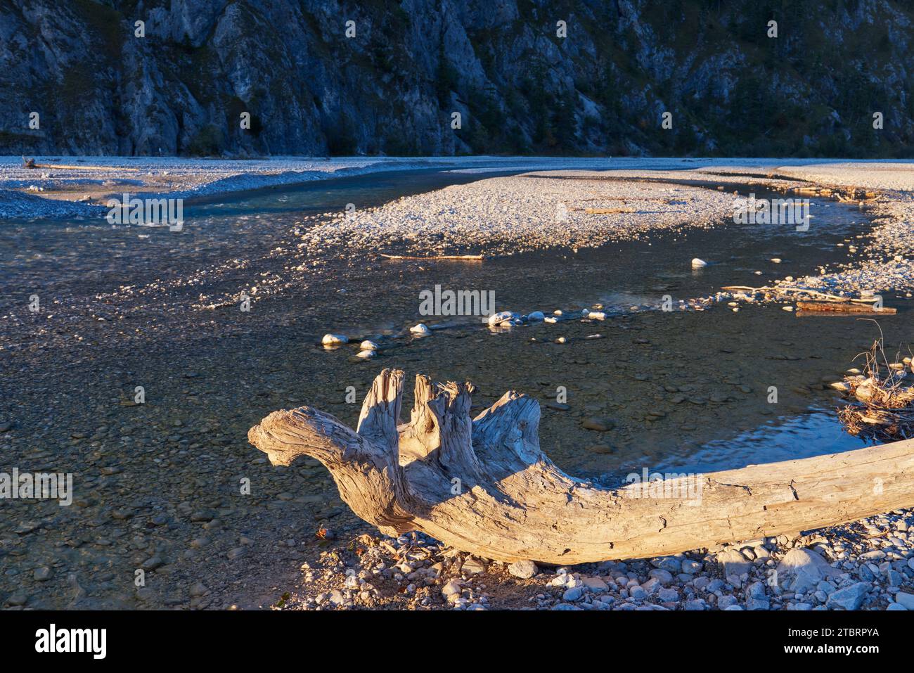 Wilde Flusslandschaft Isartal Stockfoto