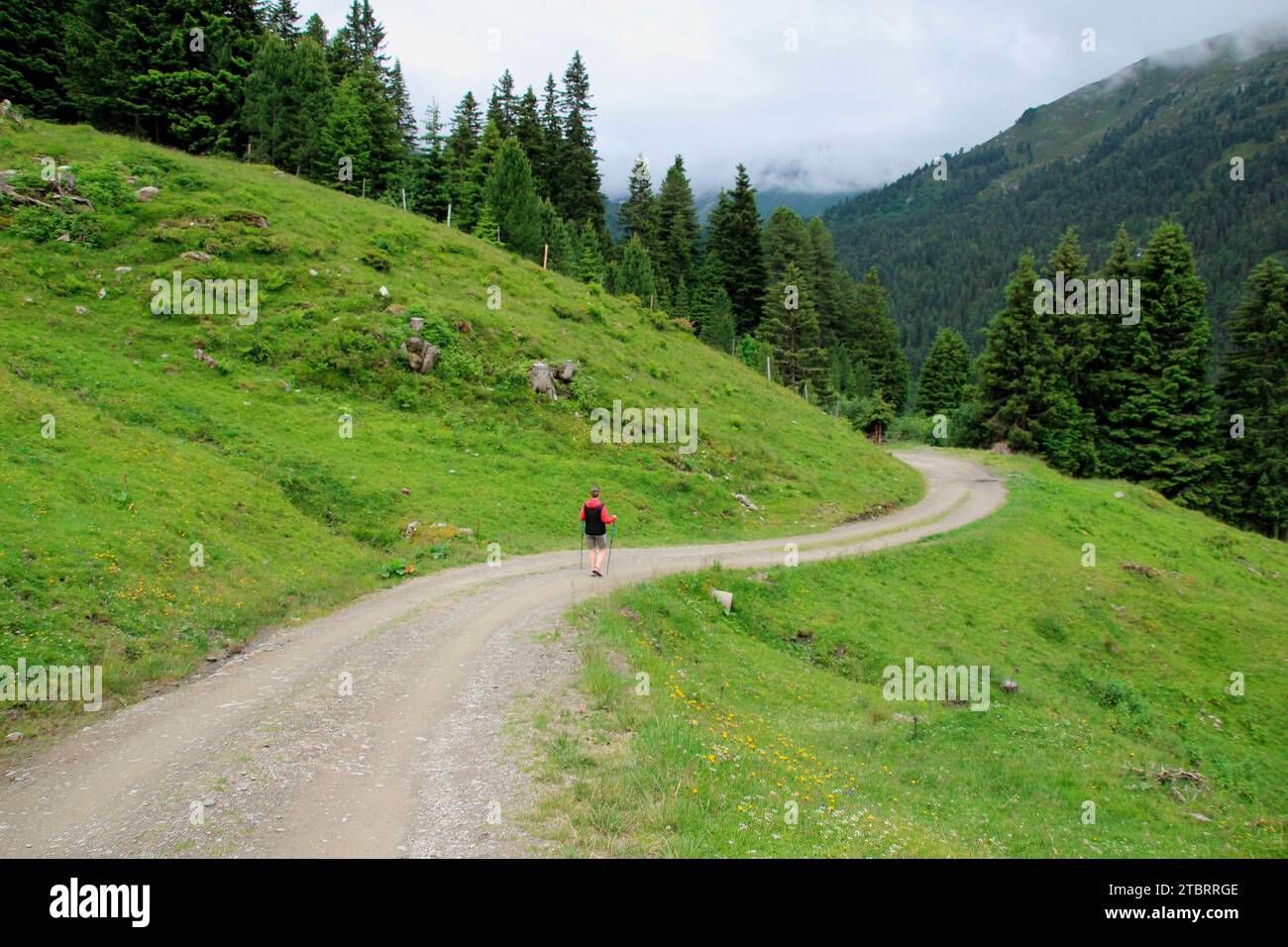 Frau, die von der Außermelang-Alm auf einem Wanderweg in der Wattener Lizum, Wattens, Walchen, Tirol, Österreich, Europa Stockfoto
