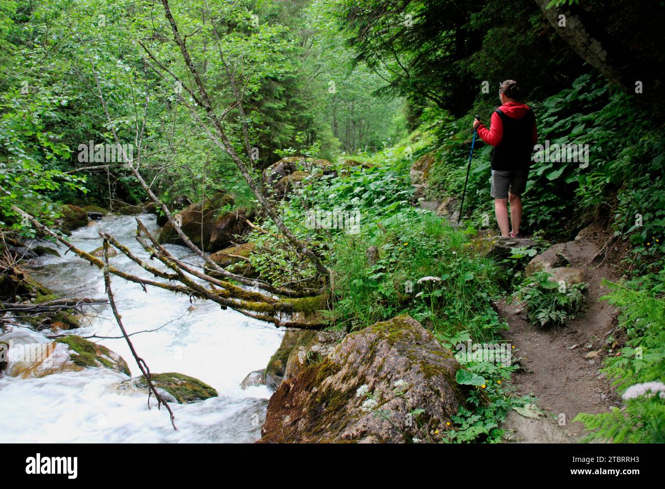 Frau wandert auf einem Wanderweg entlang der Lizum zur Außermelang-Alm. Wattens, Walchen, Tirol, Österreich, Europa Stockfoto