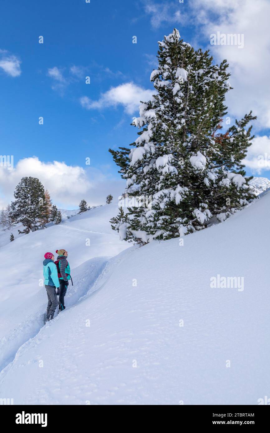 Italien, Veneto, Provinz Belluno, Falzarego, zwei Personen - Teenager und Erwachsener - beobachten einen großen schneebedeckten immergrünen Baum, schneebedeckte Landschaft in den Dolomiten Stockfoto
