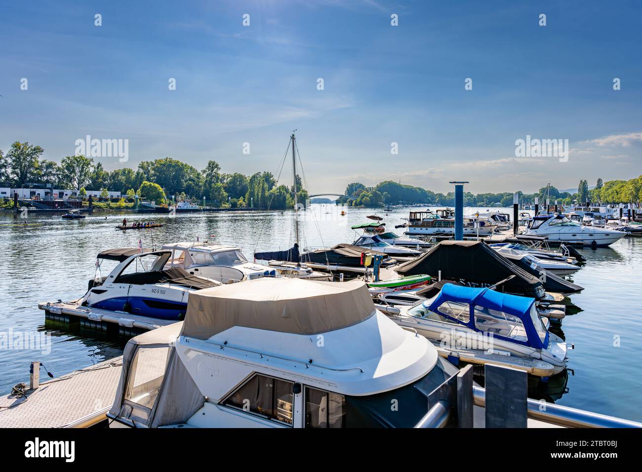 Deutschland, Hessen, Wiesbaden - Schierstein, Schiersteiner Hafen, Naherholungsgebiet mit Hafenanlagen, Uferpromenade, Gasthöfe und Fischrestaurants, auch bekannt als Schiersteiner Riviera, Bootsankerplätze für Motorboote und Segelboote Stockfoto