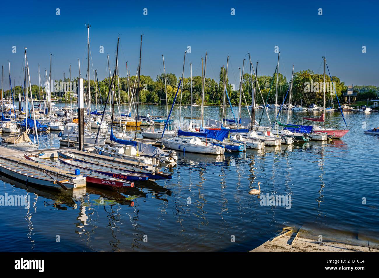 Deutschland, Hessen, Wiesbaden - Schierstein, Schiersteiner Hafen, Naherholungsgebiet mit Hafenanlagen, Uferpromenade, Gasthöfe und Fischrestaurants, auch bekannt als Schiersteiner Riviera, Bootsankerplätze für Motorboote und Segelboote Stockfoto