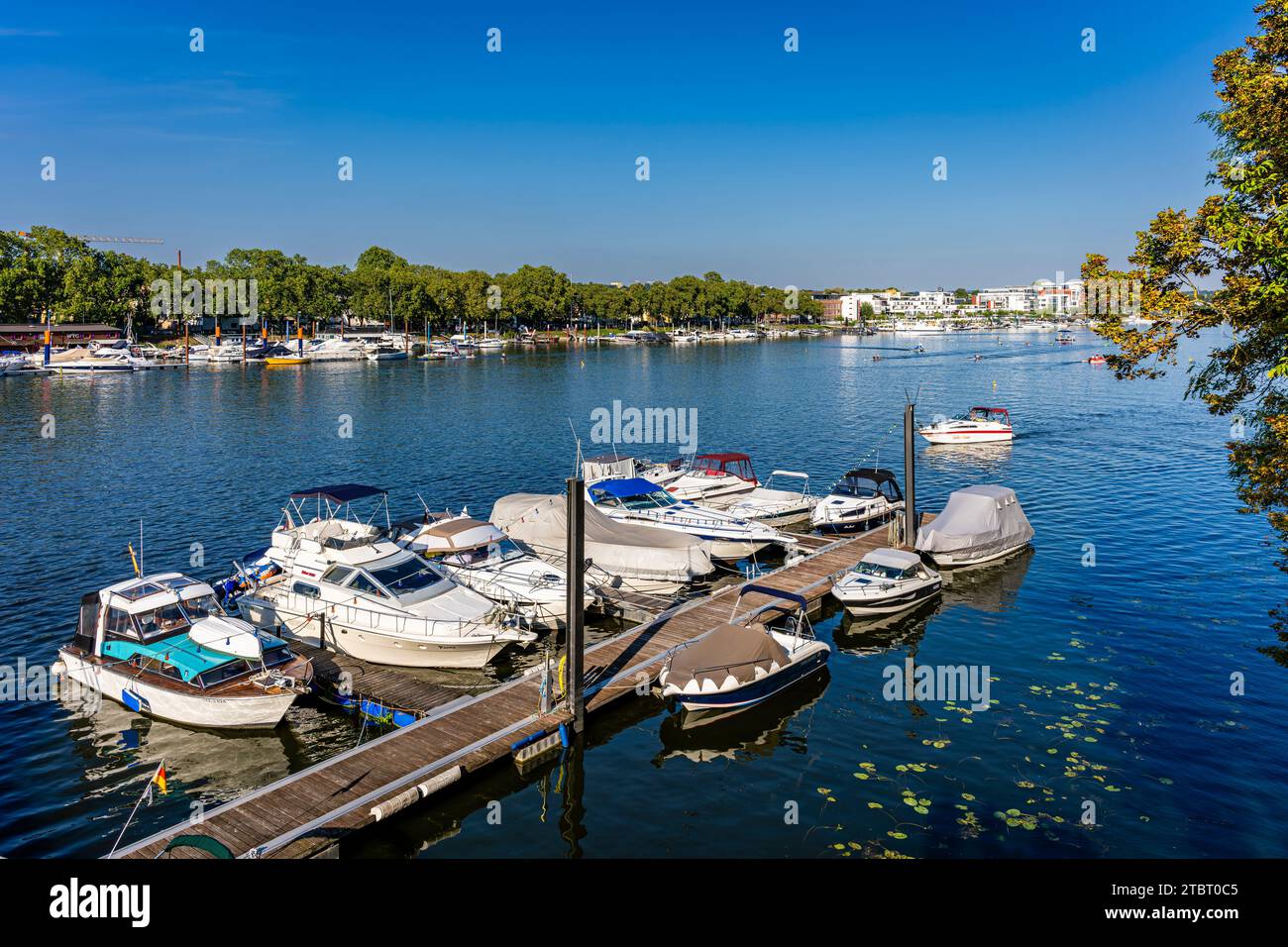 Deutschland, Hessen, Wiesbaden - Schierstein, Schiersteiner Hafen, Naherholungsgebiet mit Hafenanlagen, Uferpromenade, Gasthöfe und Fischrestaurants, auch bekannt als Schiersteiner Riviera, Bootsankerplätze für Motorboote und Segelboote Stockfoto
