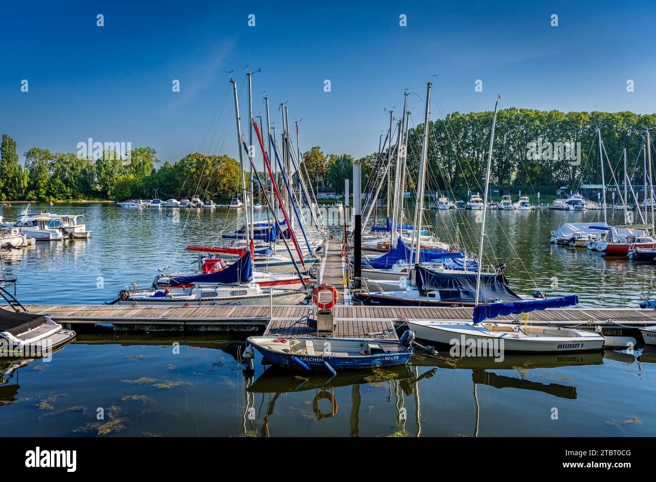 Deutschland, Hessen, Wiesbaden - Schierstein, Schiersteiner Hafen, Naherholungsgebiet mit Hafenanlagen, Uferpromenade, Gasthöfe und Fischrestaurants, auch bekannt als Schiersteiner Riviera, Bootsankerplätze für Motorboote und Segelboote Stockfoto