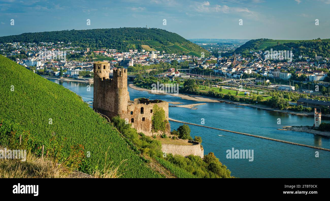 Deutschland, Hessen, Burg Ehrenfels, Mäuseturm und Binger Loch, dahinter Bingen und Bingerbrück, hier beginnt das Mittelrheintal Stockfoto