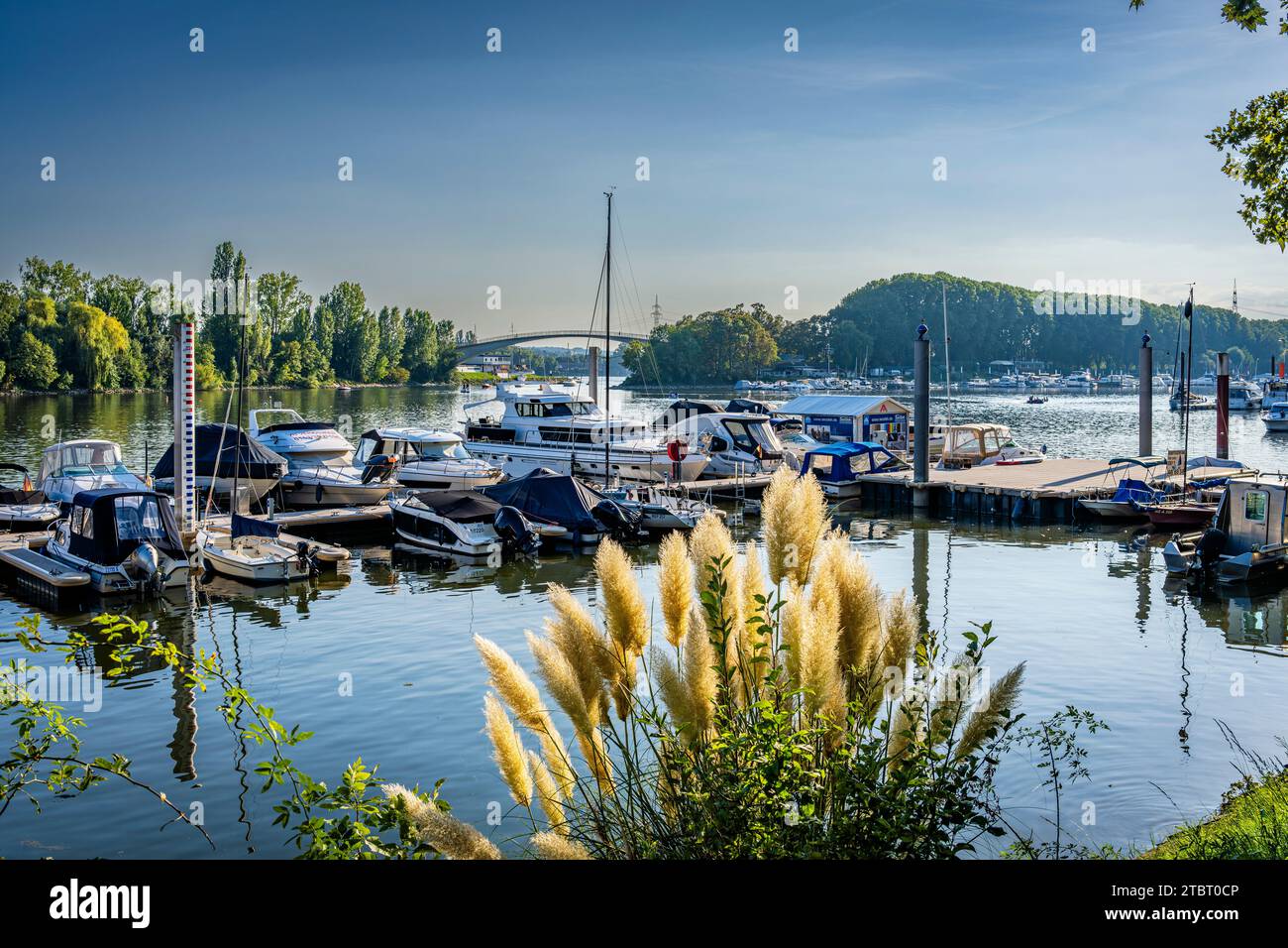 Deutschland, Hessen, Wiesbaden - Schierstein, Schiersteiner Hafen, Naherholungsgebiet mit Hafenanlagen, Uferpromenade, Gasthöfe und Fischrestaurants, auch bekannt als Schiersteiner Riviera, Bootsankerplätze für Motorboote und Segelboote Stockfoto