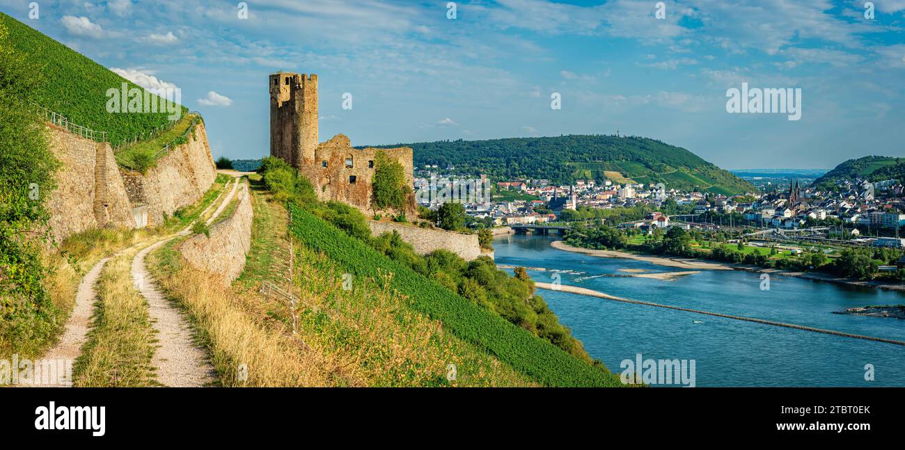 Deutschland, Hessen, Burg Ehrenfels, Mäuseturm und Binger Loch, dahinter Bingen und Bingerbrück, hier beginnt das Mittelrheintal Stockfoto